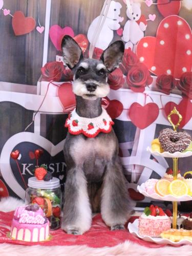 20250215ニーナちゃん